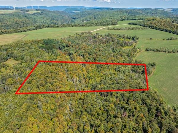 10373 Lookout, Prattsburgh, NY 14873