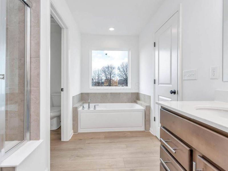 189 Mahogany Drive, Lewis Center, OH 43035 Photo 23