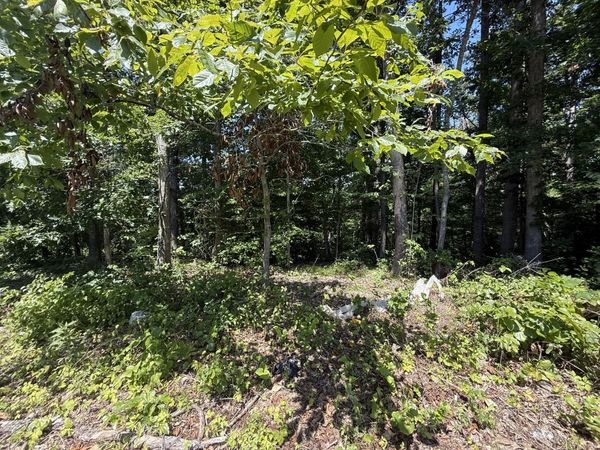 0 Trailwood Ct, Joelton, TN 37080