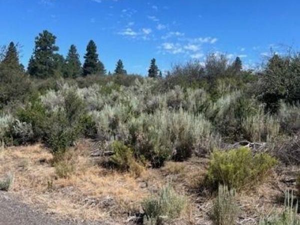 Wrightwood, Unit Lot 16, Chiloquin, OR 97624