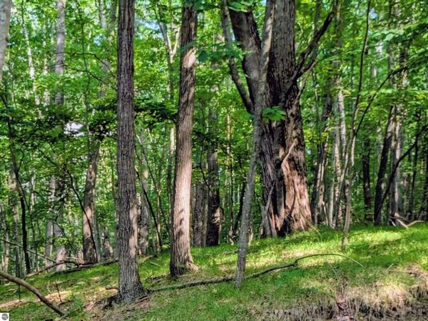 11717 Broken Arrow, Canadian Lakes, MI 49346