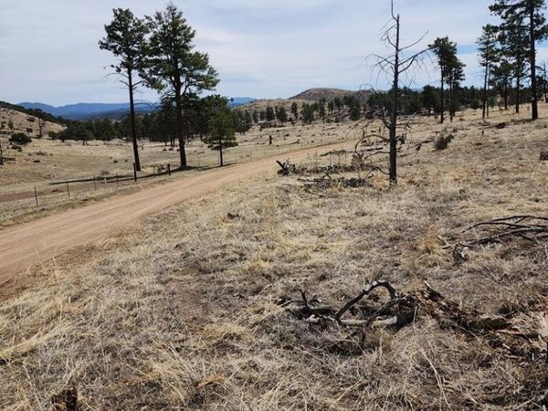 377 Color Sweet Dr., Cotopaxi, CO 81223