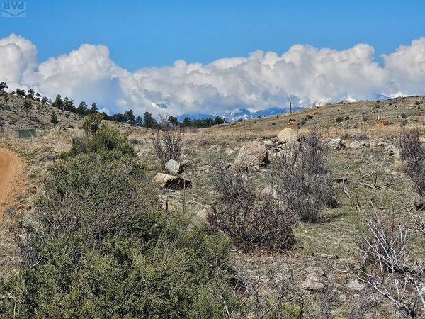 839 Shannon Trail, Cotopaxi, CO 81213