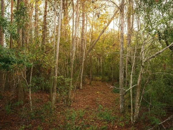 TBD CR-48, YALAHA, FL 34797