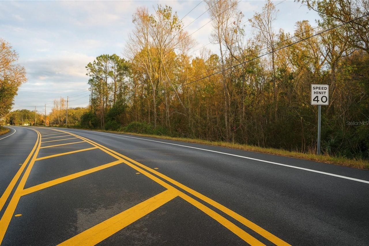 Tbd Cr-48, Yalaha, FL 34797 Photo