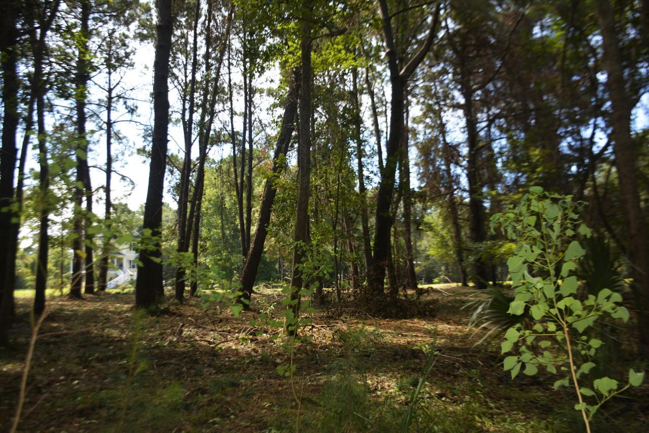 57 Seaside Road Photo 10