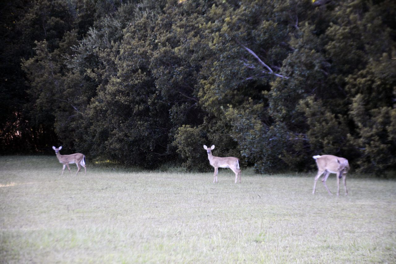 57 Seaside Road Photo 12