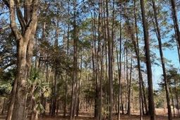 57 Seaside Road photo 4