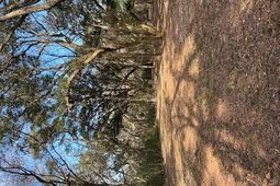 57 Seaside Road photo 4