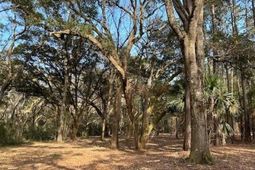 57 Seaside Road photo 4