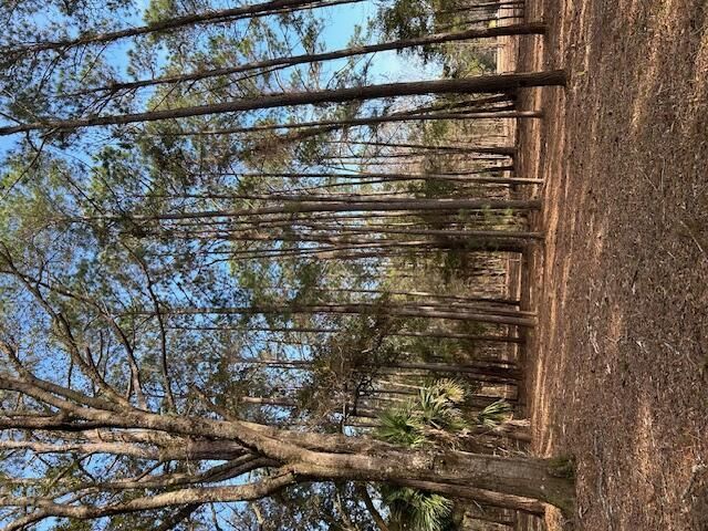 57 Seaside Road Photo 5