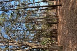 57 Seaside Road photo 4