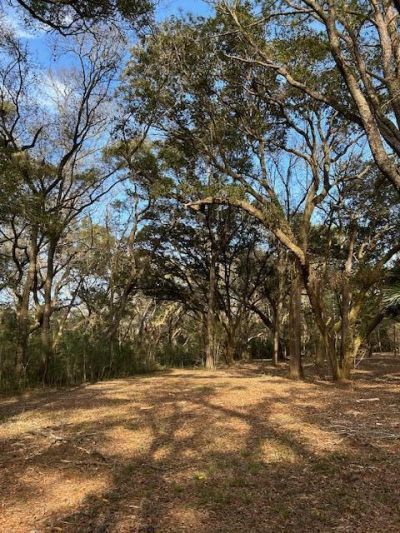 57 Seaside Road Photo 5