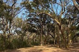 57 Seaside Road photo 4