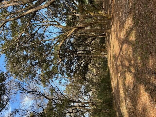 57 Seaside Road Photo 7