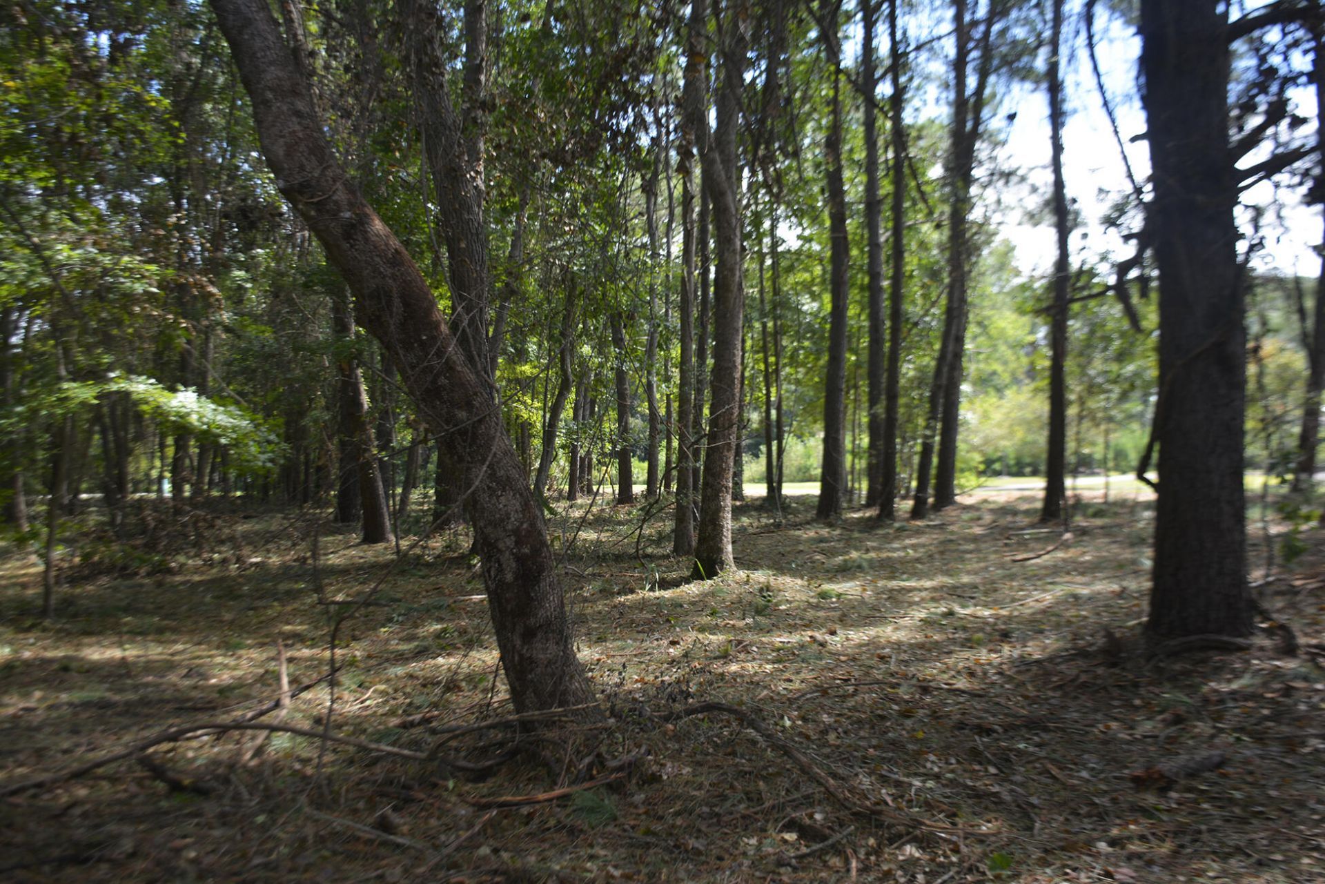 57 Seaside Road Photo 7