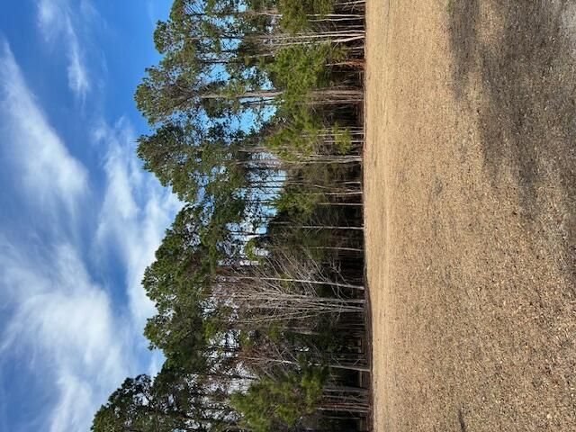 57 Seaside Road Photo 8