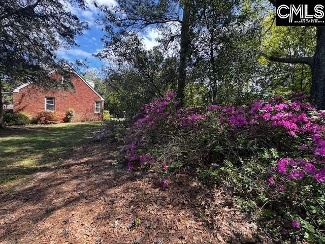 6657 Augusta Highway Photo 5