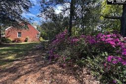 6657 Augusta Highway photo 4