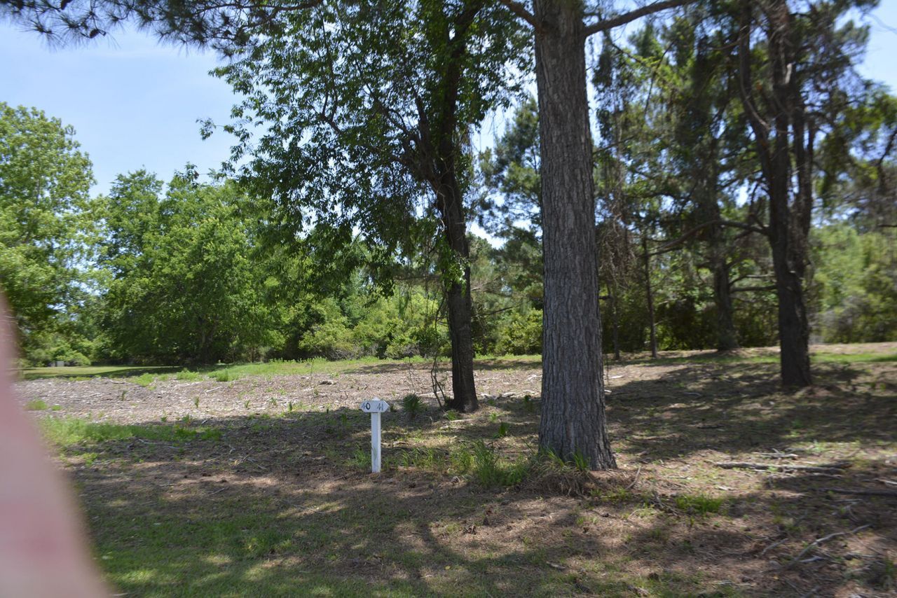 61 Osprey Road Photo 11