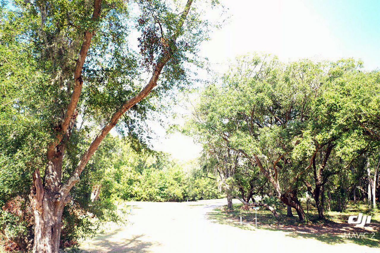 61 Osprey Road Photo 12