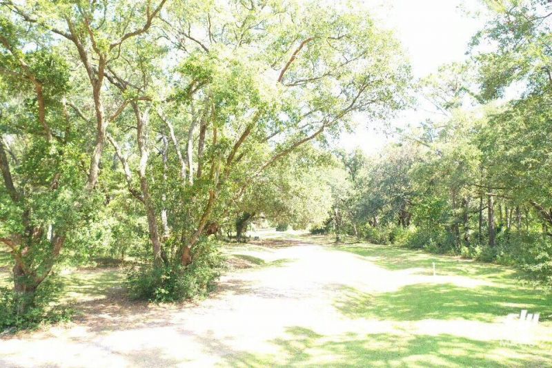 61 Osprey Road Photo 13