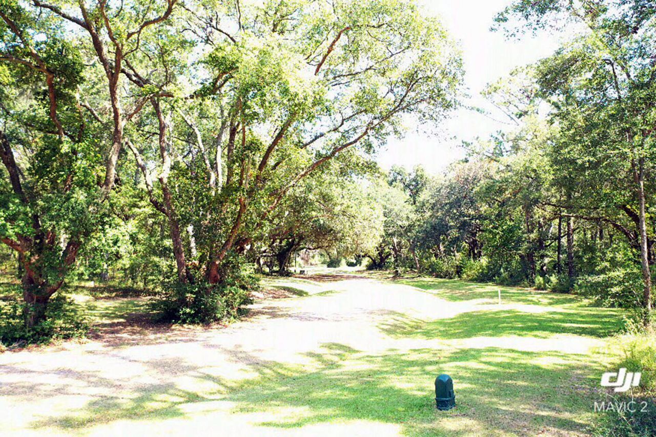 61 Osprey Road Photo 14