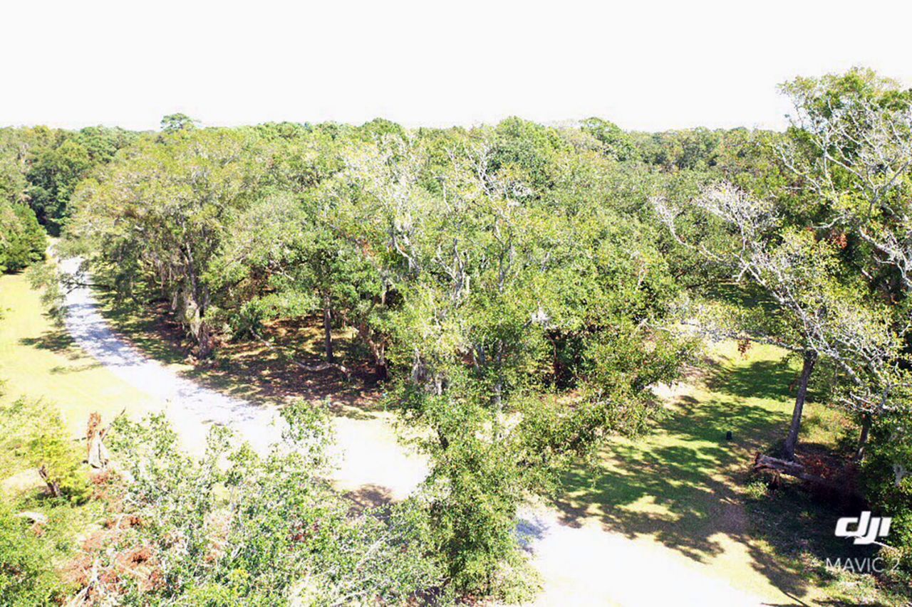 61 Osprey Road Photo 15