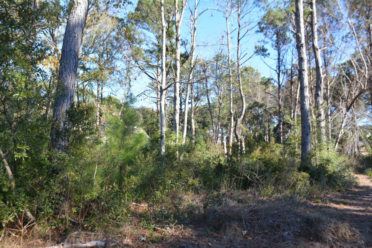 61 Osprey Road Photo 17