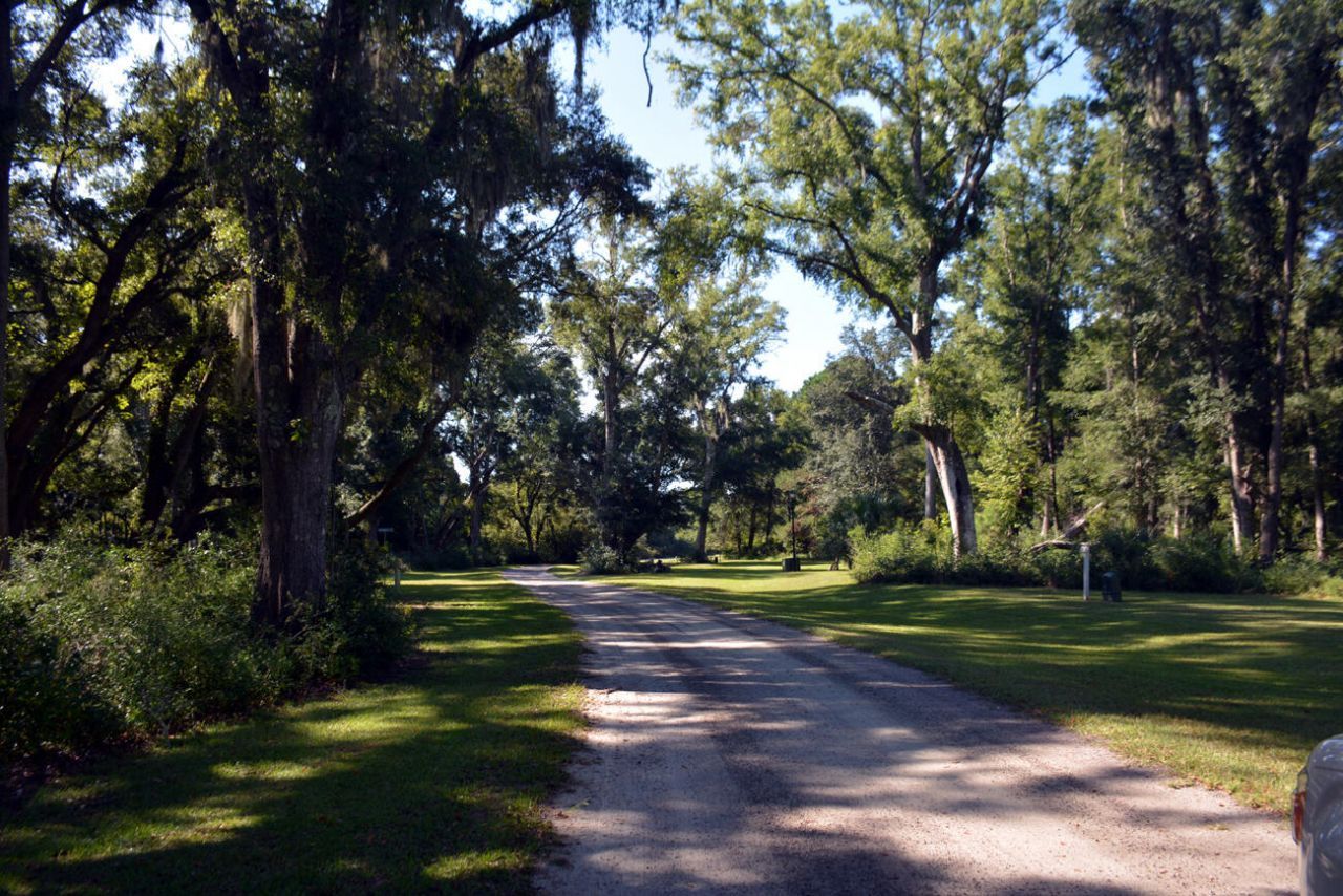 61 Osprey Road Photo 22