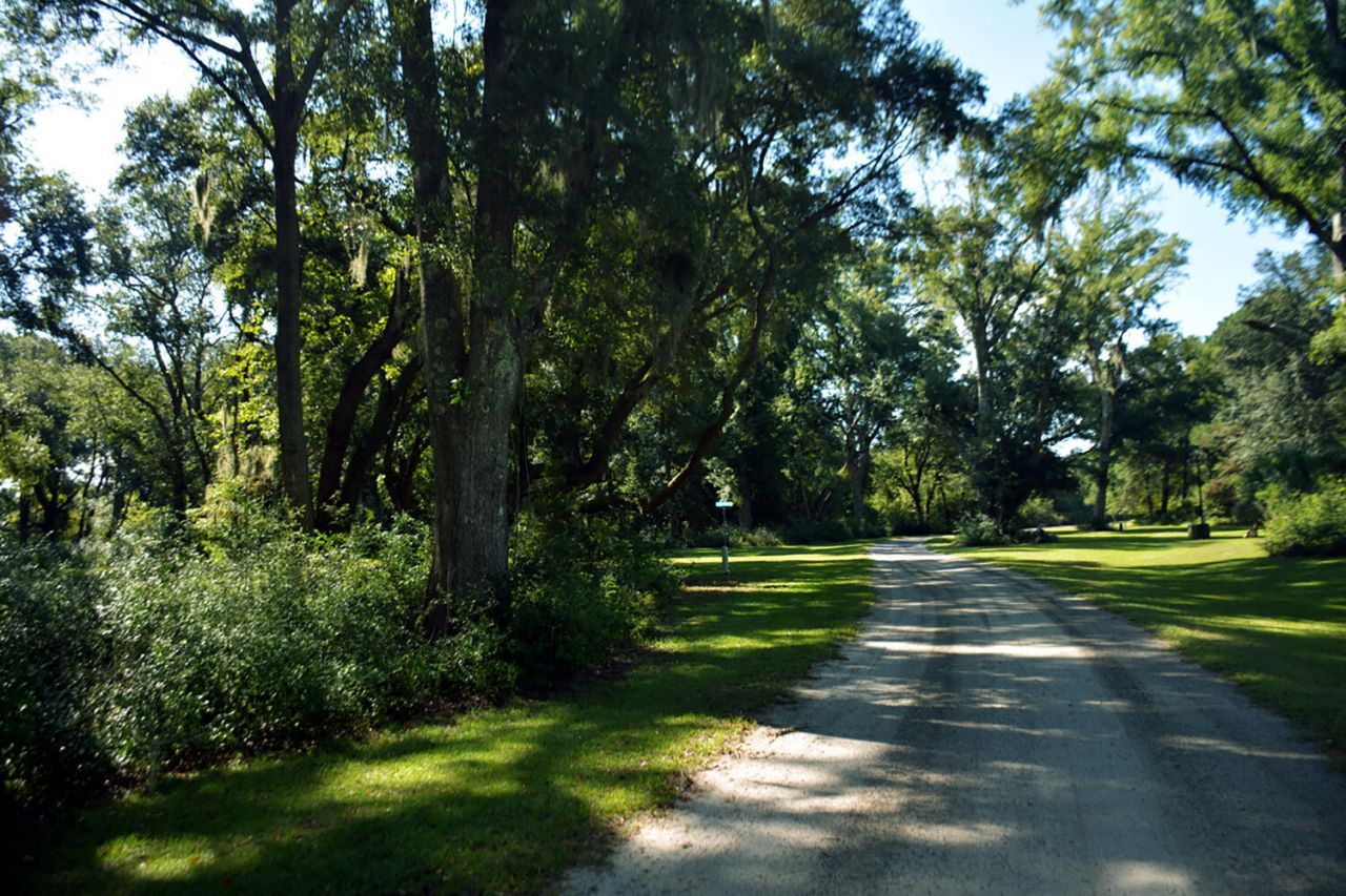 61 Osprey Road Photo 24