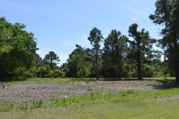 61 Osprey Road photo 4