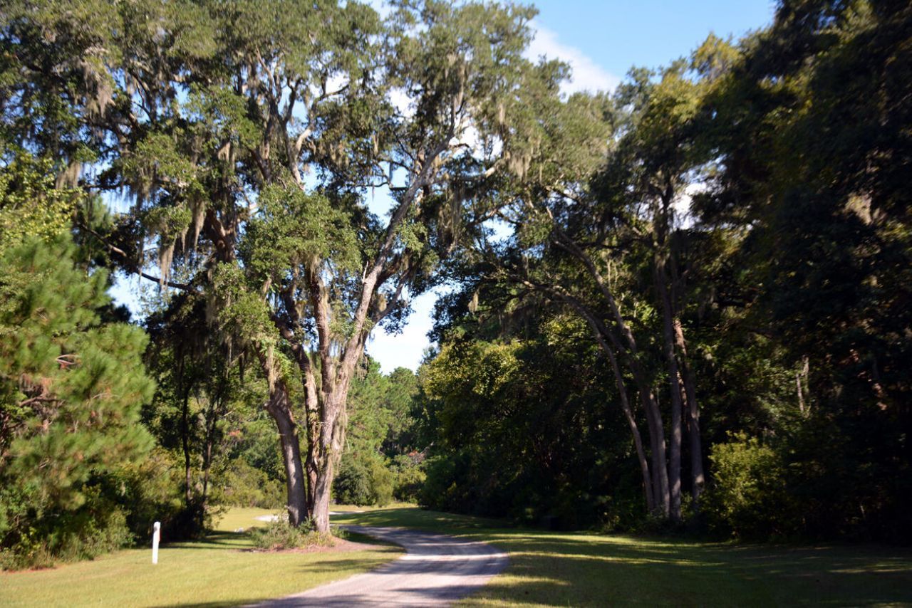 61 Osprey Road Photo 34