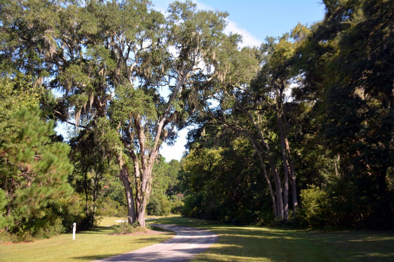 61 Osprey Road Photo 35