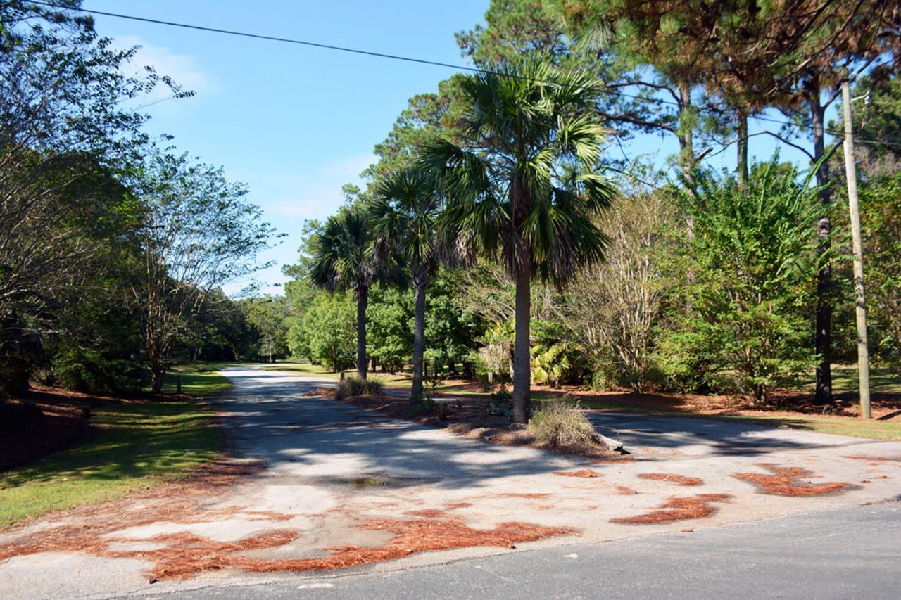 61 Osprey Road Photo 41