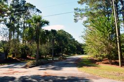 61 Osprey Road photo 4