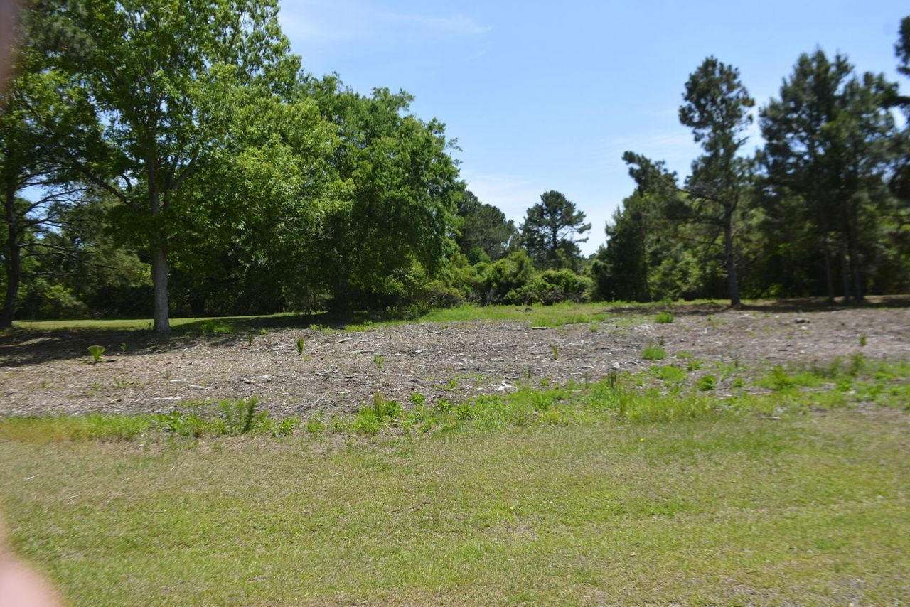 61 Osprey Road Photo 9