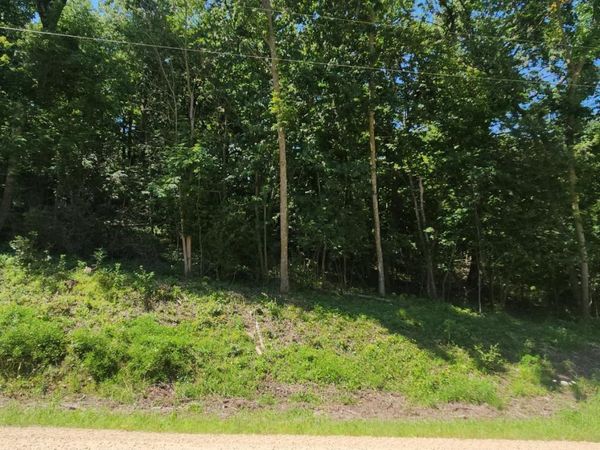 XXXX Cedar Beach Drive NW, Oronoco, MN 55960