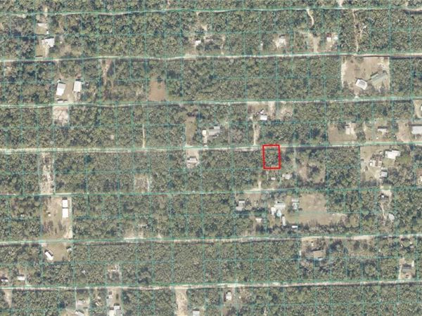 TBD NE 235TH STREET, FORT MC COY, FL 32134