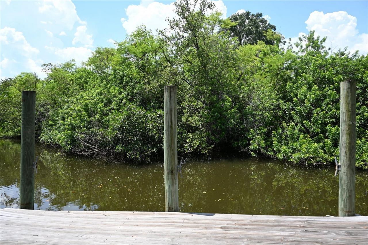 8609 Driftwood Drive, Tampa, FL 33615 Photo