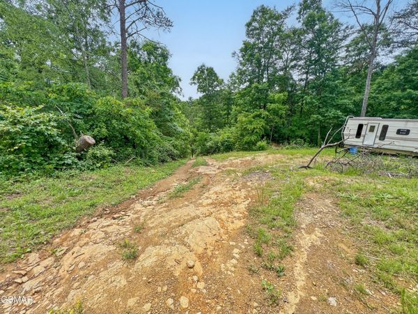 185 Green Road, Bulls Gap, TN 37711