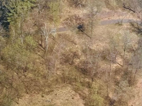 15963 Old Stonebridge Trail, Brainerd, MN 56401