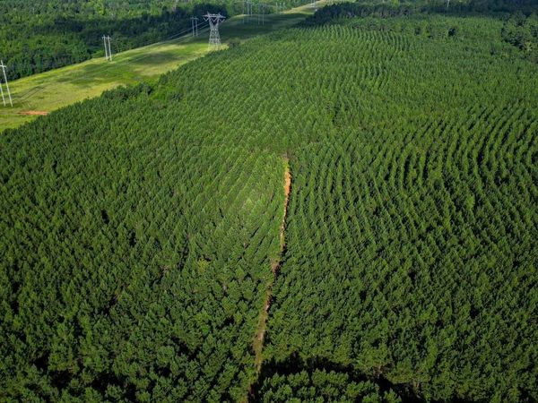 0 Newman Smith Road, Bartow, GA 30413