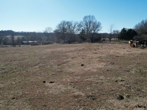 0 Welch RD, Newbern, TN 38059