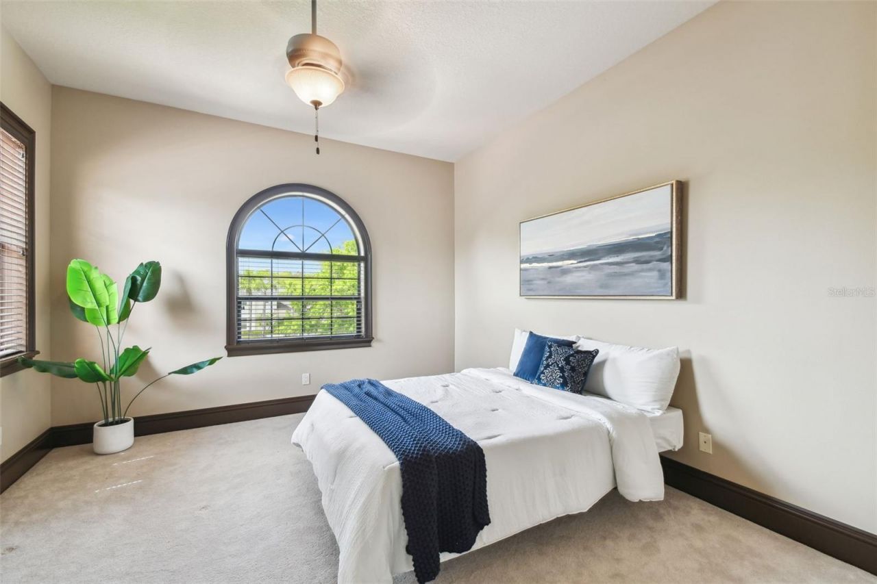 17005 Madres De Avila, Tampa, FL 33613 Photo