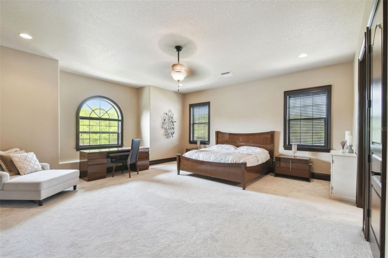 17005 Madres De Avila, Tampa, FL 33613 Photo