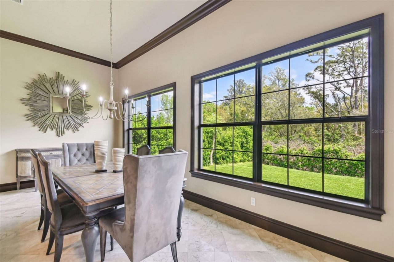 17005 Madres De Avila, Tampa, FL 33613 Photo