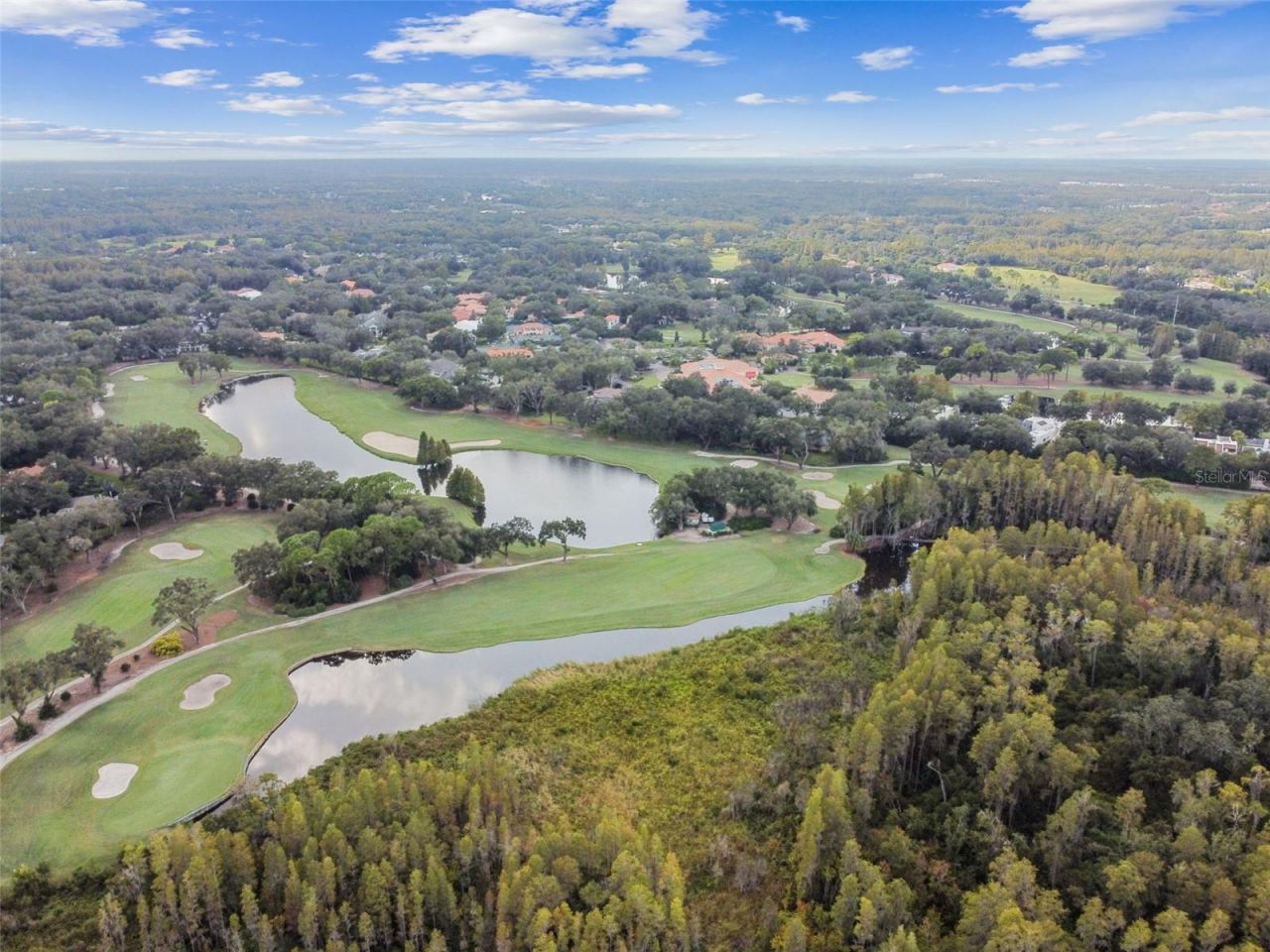 17005 Madres De Avila, Tampa, FL 33613 Photo