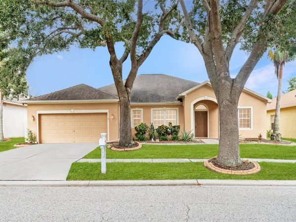 10903 WILDCAT DRIVE, RIVERVIEW, FL 33579