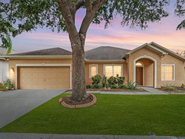 10903 WILDCAT DRIVE, RIVERVIEW, FL 33579